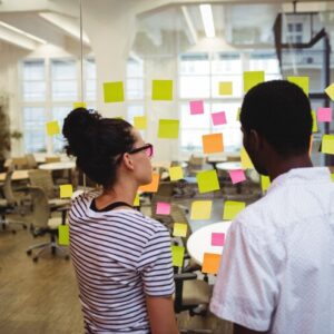 PMI - Agile Certified Practitioner (PMI-ACP) Training